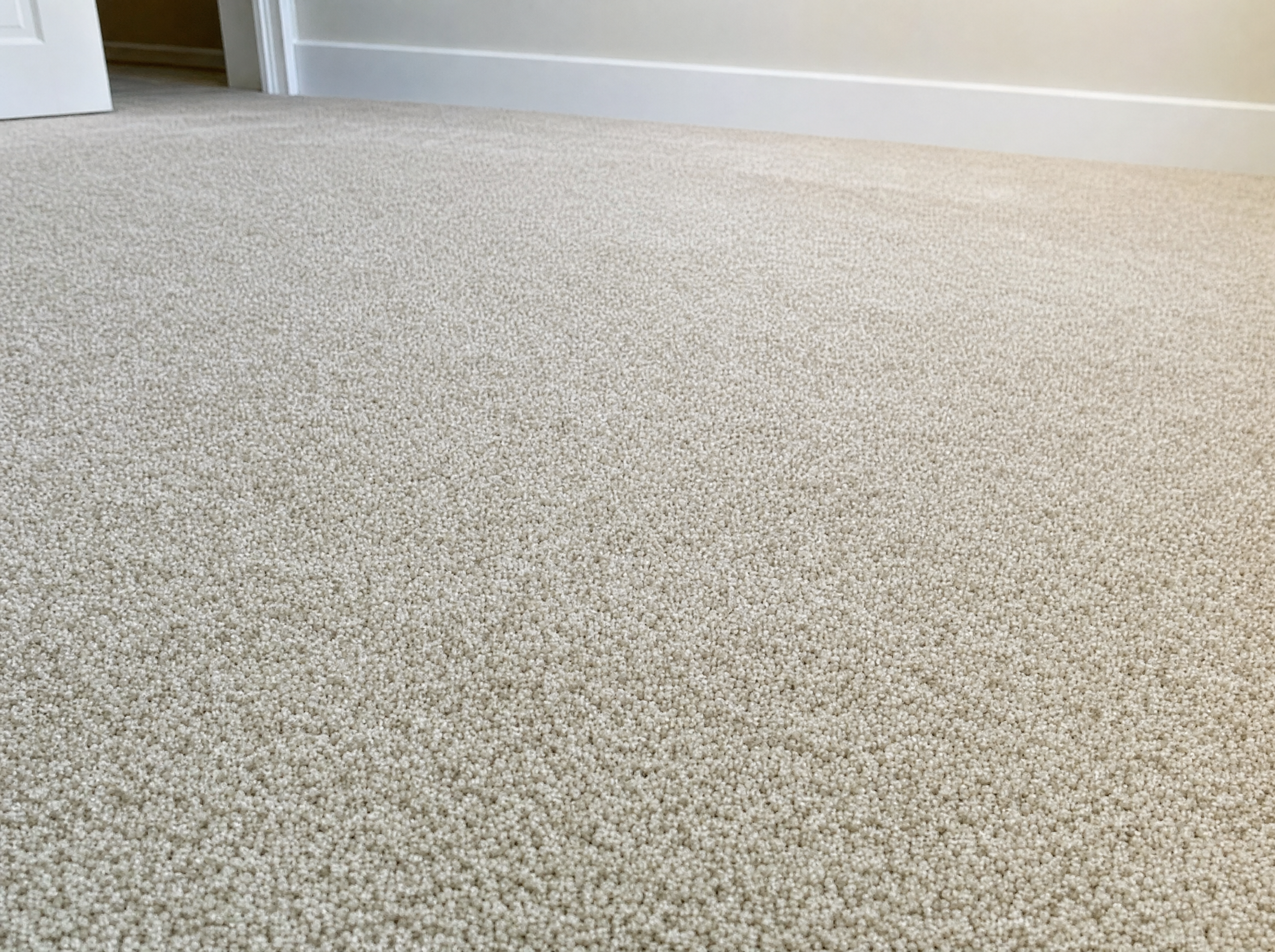 Clean carpet after cleaning