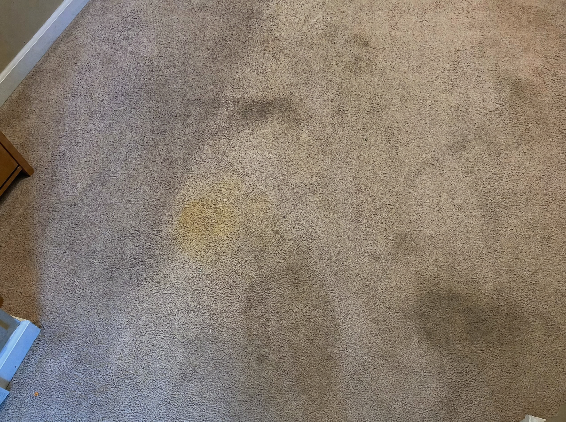 Dirty carpet before cleaning